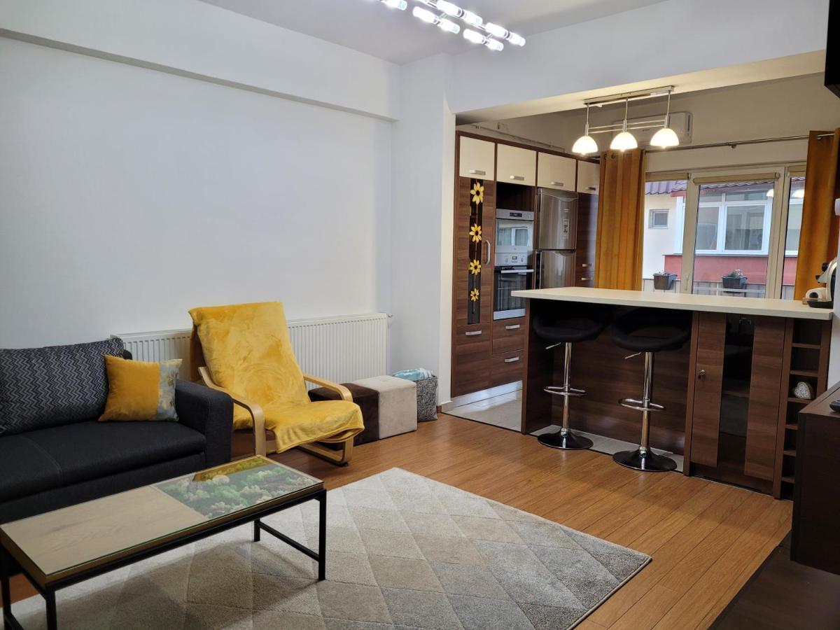 Andi Apartment Сибиу Экстерьер фото