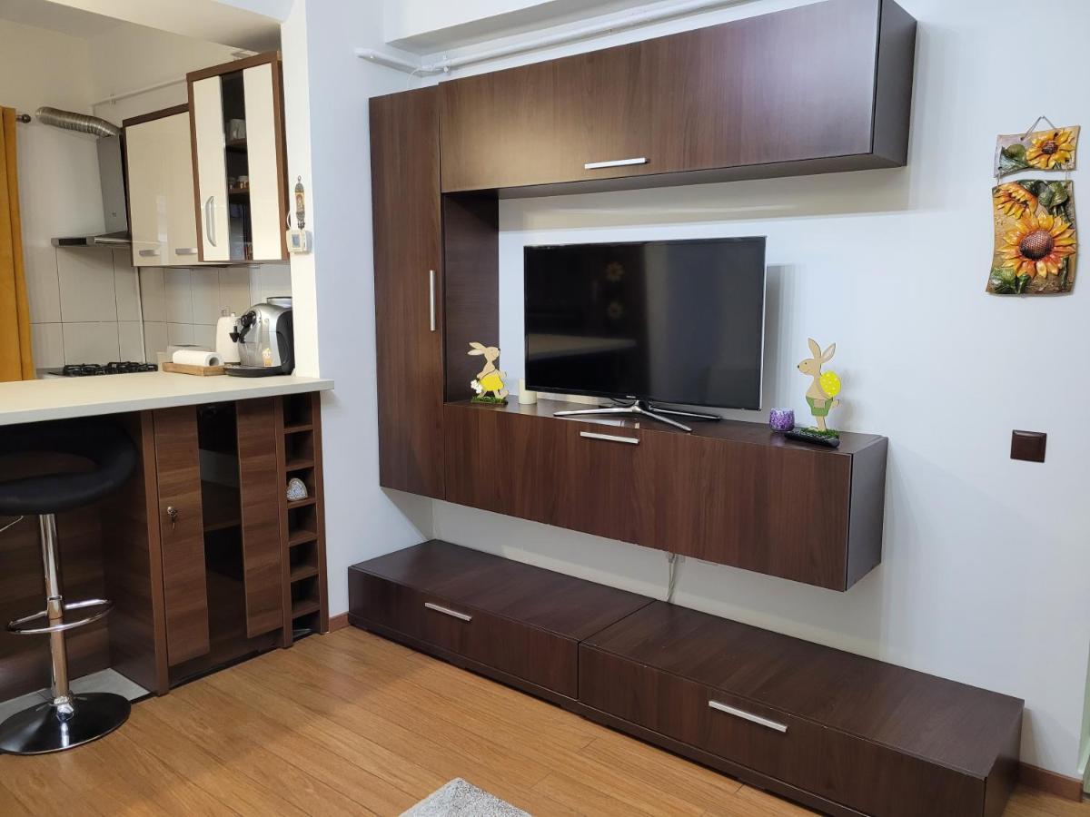 Andi Apartment Сибиу Экстерьер фото